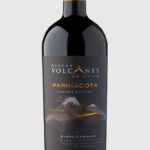 Bodega Volcanes